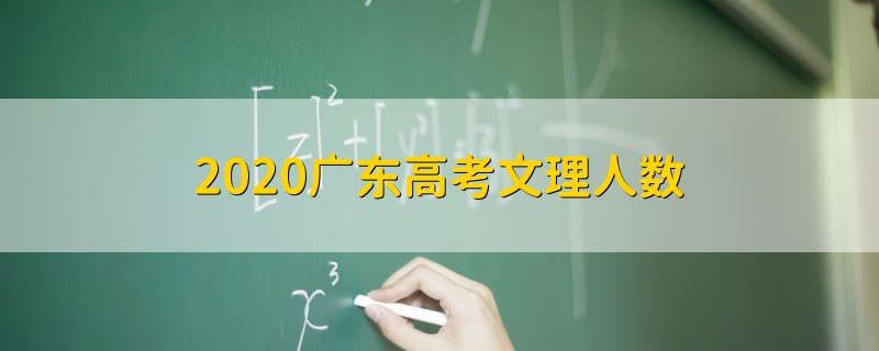 2020廣東高考文理人數(shù)