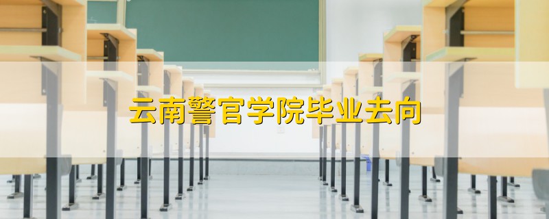 云南警官學院畢業(yè)去向