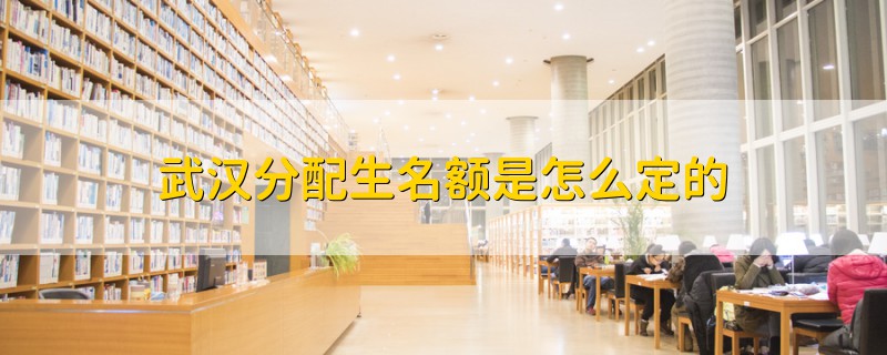 武漢分配生名額是怎么定的