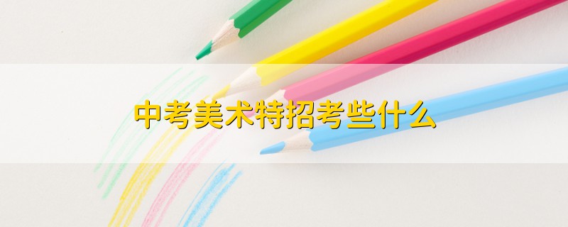 中考美術特招考些什么