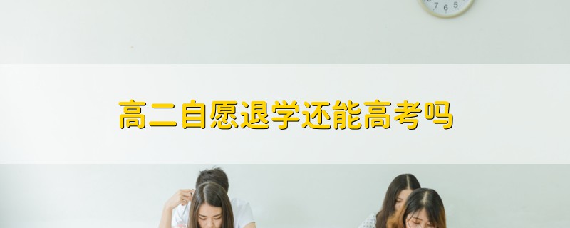 高二自愿退學(xué)還能高考嗎