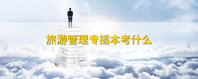 旅游管理專插本考什么