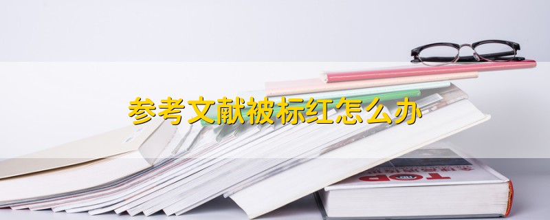 參考文獻(xiàn)被標(biāo)紅怎么辦