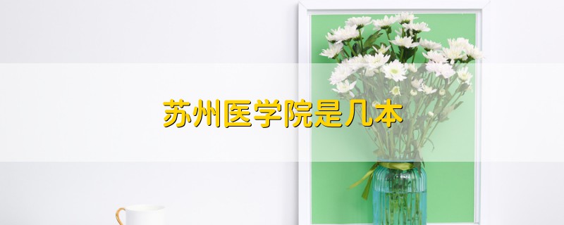 蘇州醫(yī)學(xué)院是幾本