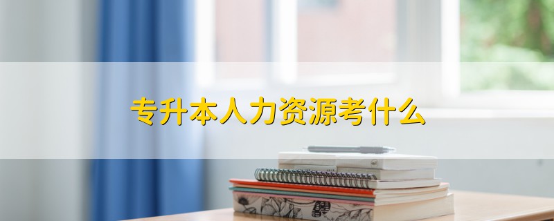 專升本人力資源考什么