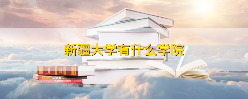 新疆大學(xué)有什么學(xué)院
