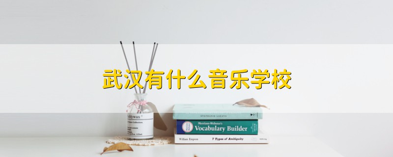 武漢有什么音樂學(xué)校