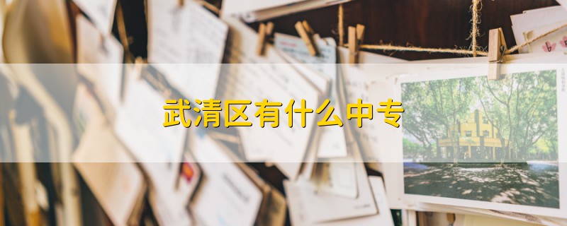 武清區(qū)有什么中專