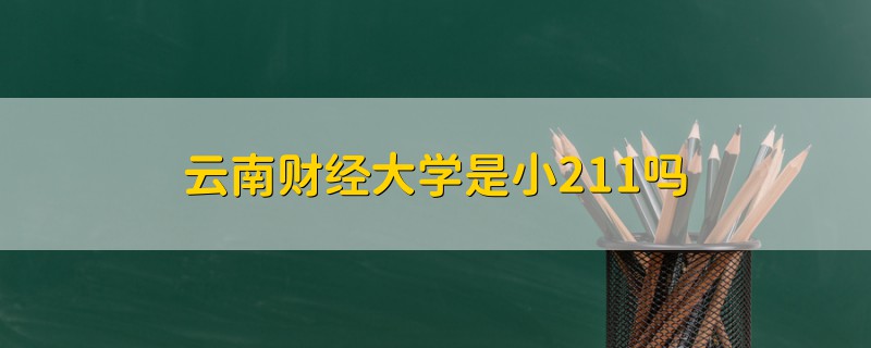 云南財(cái)經(jīng)大學(xué)是小211嗎