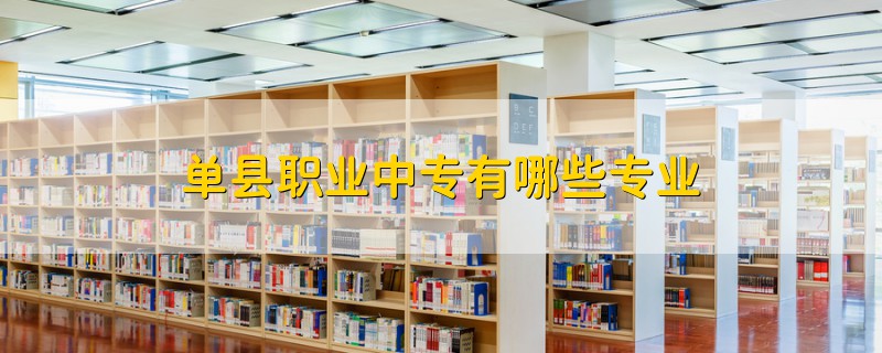 單縣職業(yè)中專(zhuān)有哪些專(zhuān)業(yè)
