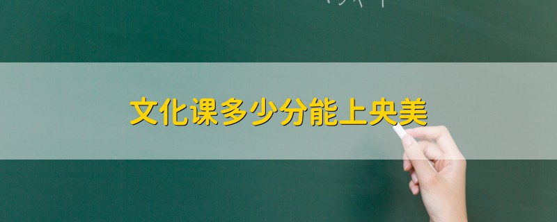 文化課多少分能上央美