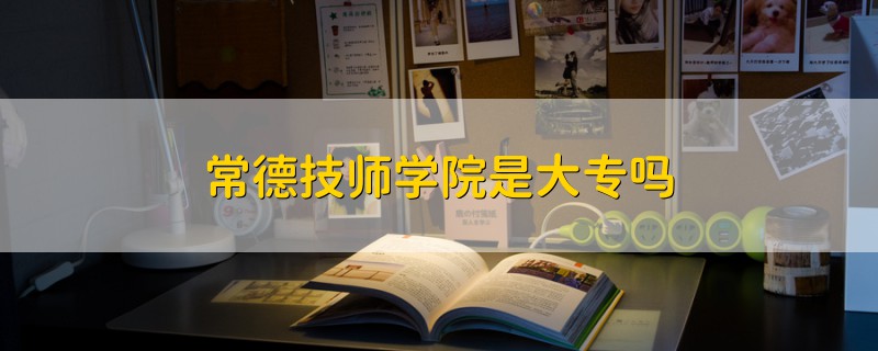 常德技師學(xué)院是大專嗎