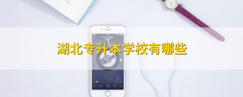 湖北專升本學(xué)校有哪些