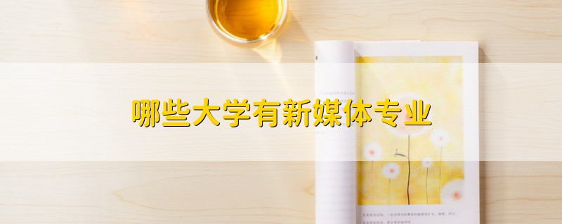 哪些大學有新媒體專業(yè)