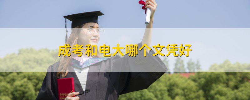 成考和電大哪個文憑好