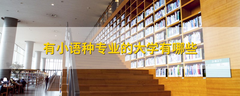 有小語(yǔ)種專業(yè)的大學(xué)有哪些