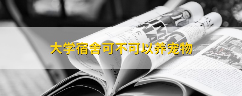 大學(xué)宿舍可不可以養(yǎng)寵物
