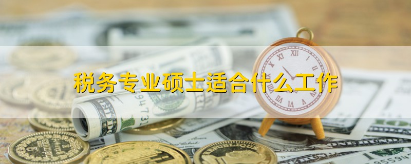 稅務(wù)專業(yè)碩士適合什么工作