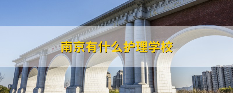 南京有什么護(hù)理學(xué)校
