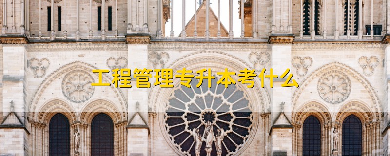 工程管理專升本考什么