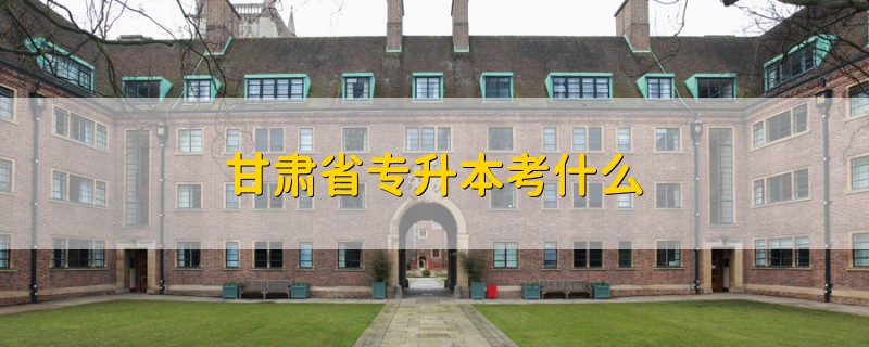 甘肅省專升本考什么