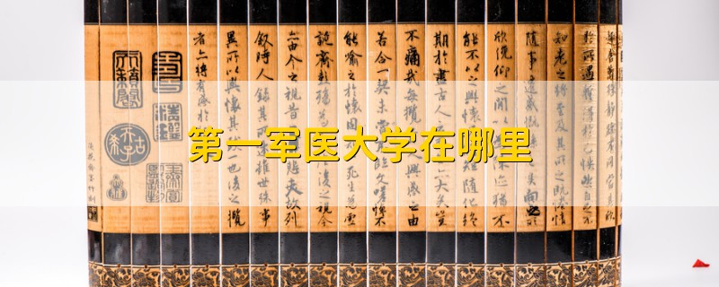 第一軍醫(yī)大學(xué)在哪里