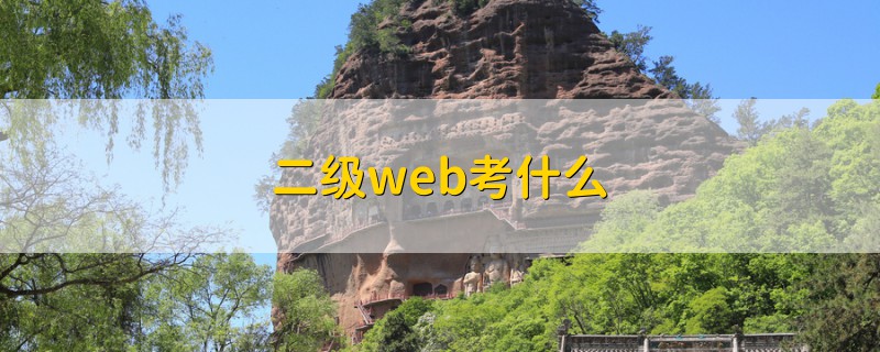 二級web考什么