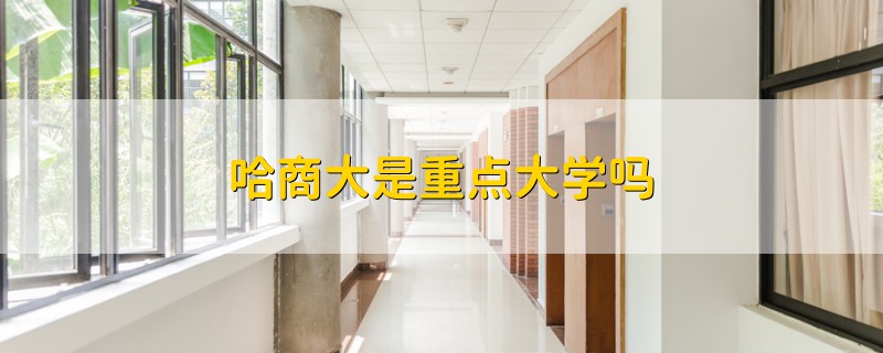 哈商大是重點(diǎn)大學(xué)嗎