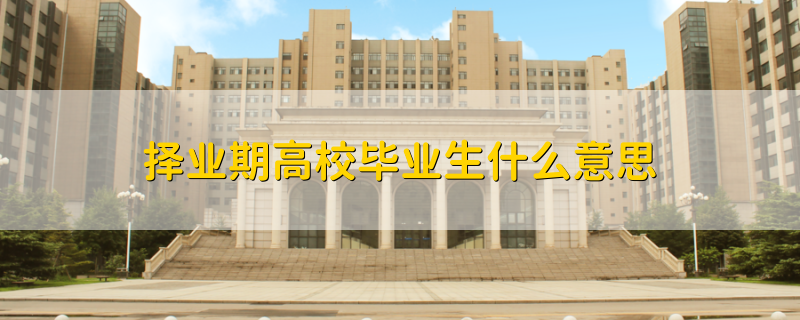 擇業(yè)期高校畢業(yè)生什么意思