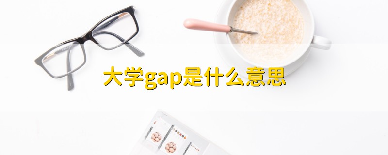 大學(xué)gap是什么意思