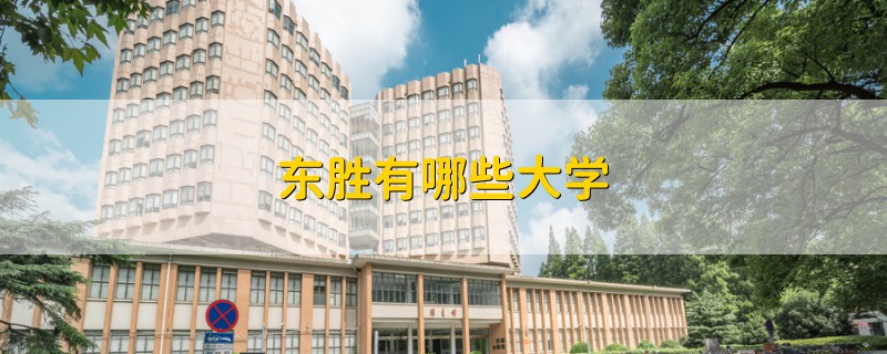 東勝有哪些大學