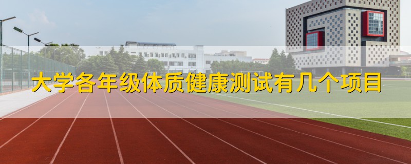 大學(xué)各年級(jí)體質(zhì)健康測試有幾個(gè)項(xiàng)目