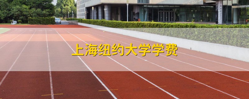 上海紐約大學(xué)學(xué)費(fèi)