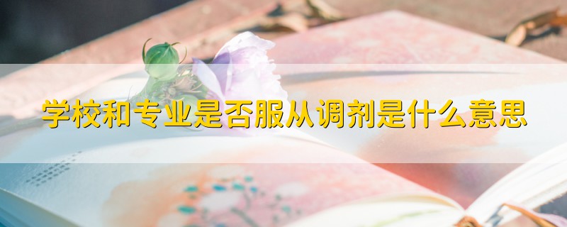 學校和專業(yè)是否服從調(diào)劑是什么意思