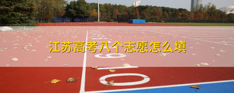 江蘇高考八個(gè)志愿怎么填