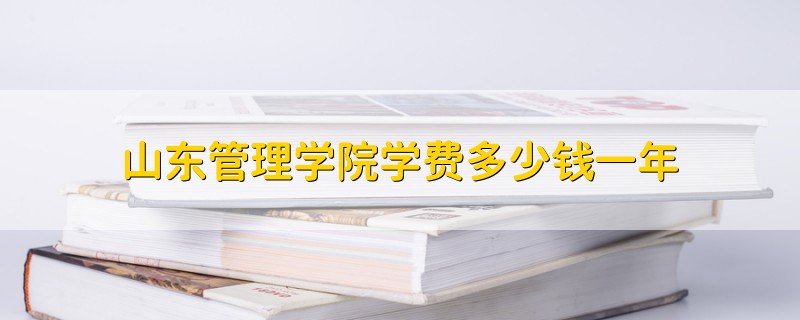 山東管理學院學費多少錢一年
