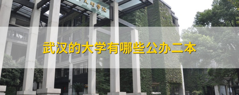 武漢的大學(xué)有哪些公辦二本