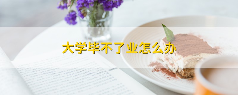 大學(xué)畢不了業(yè)怎么辦