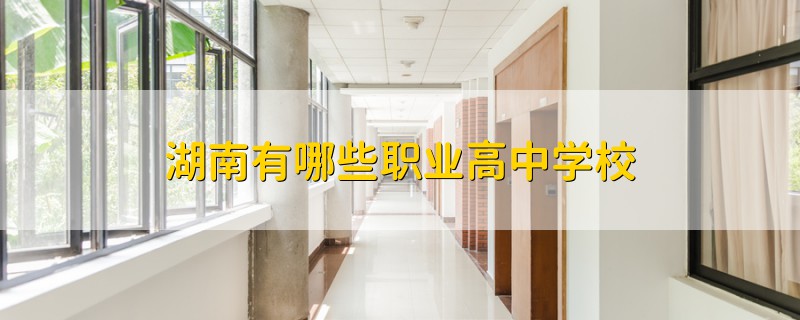 湖南有哪些職業(yè)高中學校