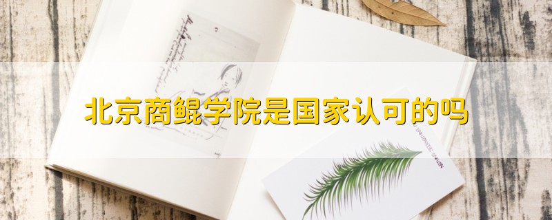 北京商鯤學(xué)院是國(guó)家認(rèn)可的嗎