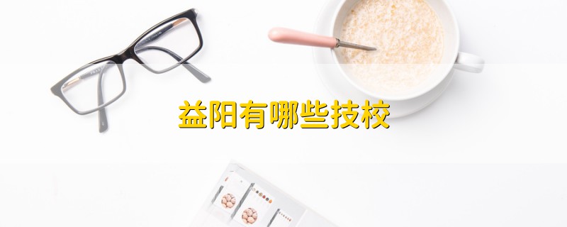 益陽有哪些技校