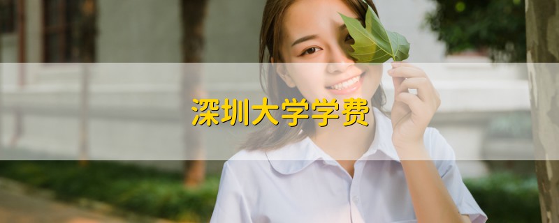 深圳大學(xué)學(xué)費(fèi)