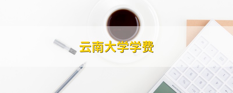 云南大學(xué)學(xué)費(fèi)
