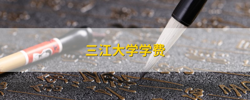 三江大學(xué)學(xué)費