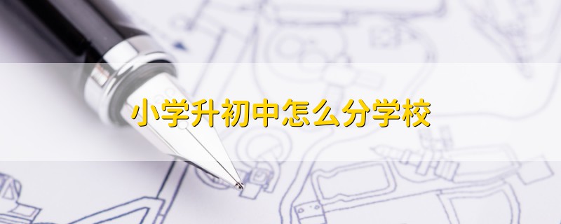 小學(xué)升初中怎么分學(xué)校