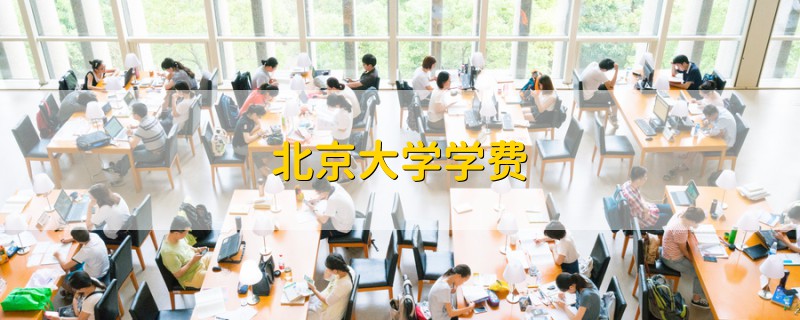 北京大學學費