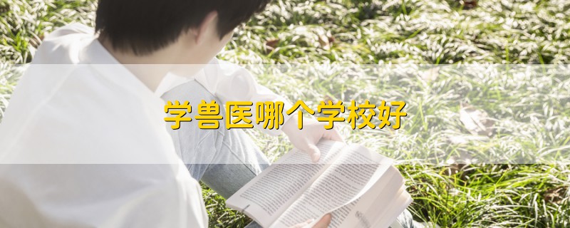 學獸醫(yī)哪個學校好