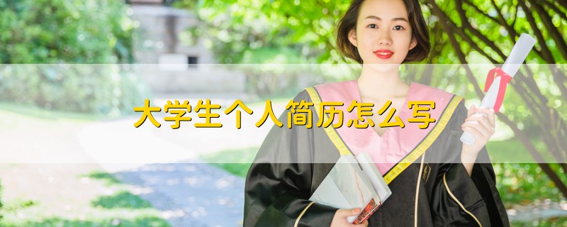 大學(xué)生個(gè)人簡(jiǎn)歷怎么寫