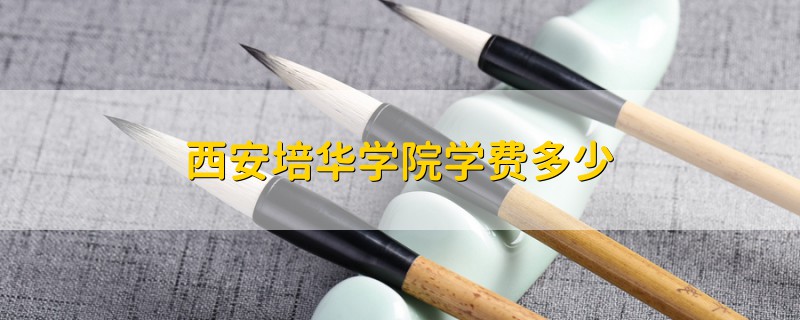 西安培華學(xué)院學(xué)費(fèi)多少