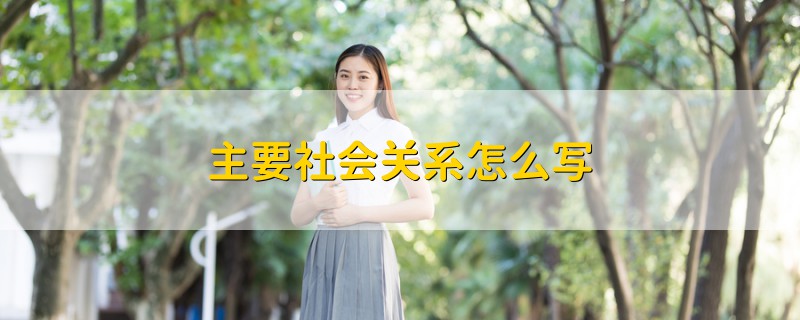 主要社會關系怎么寫